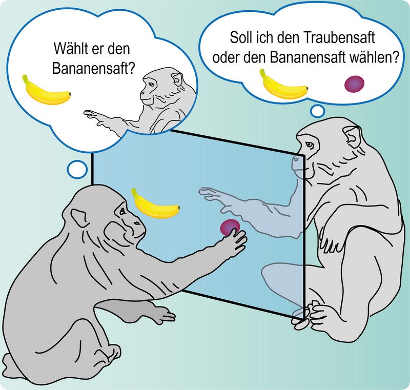 Zwei Tiere sitzen sich an einem durchsichtigen Touchscreen gegenüber und können ihre Entscheidungen vom Verhalten ihres Gegenübers abhängig machen. Illustration: Igor Kagan