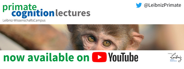 youtube lecture series
